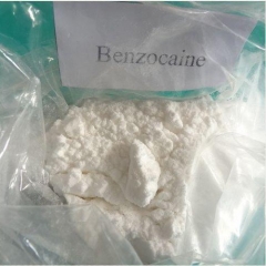 Benzocain Lieferanten